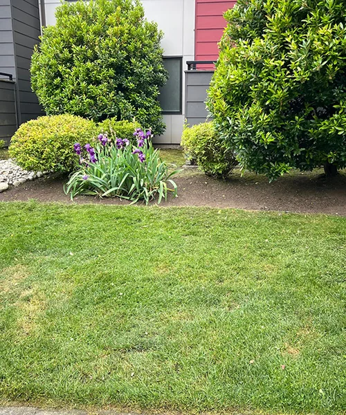 Landscape Maintenance in Kent 